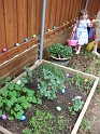 Kids_EasterEggHunt-2011 (7)